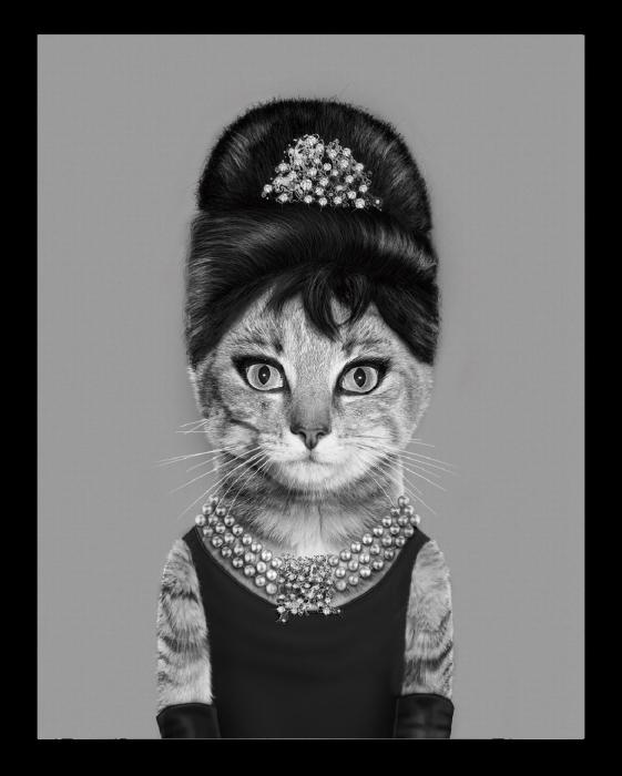 Kunstdruck mit schwarzem Rahmen 60 × 80 cm – Motiv 2022