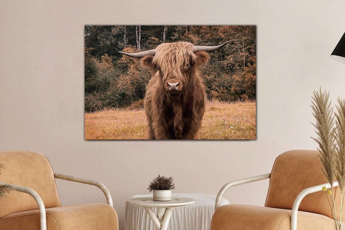 Glasbild «Hochlandrind im Wald» 120 × 80 cm – Ansicht 2