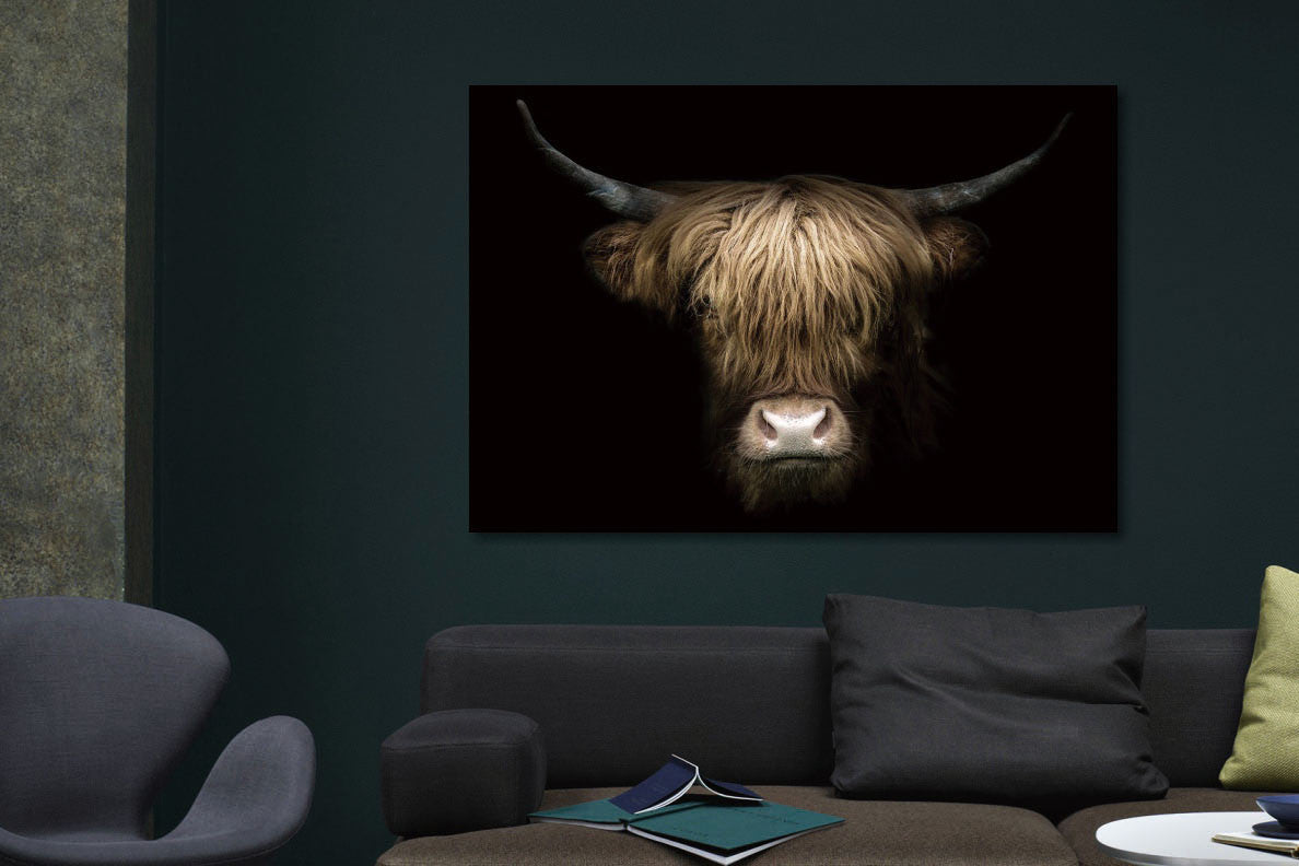 Glasbild «Kopf eines Hochlandrinds in der Mitte» 160 × 110 cm – Ansicht 2