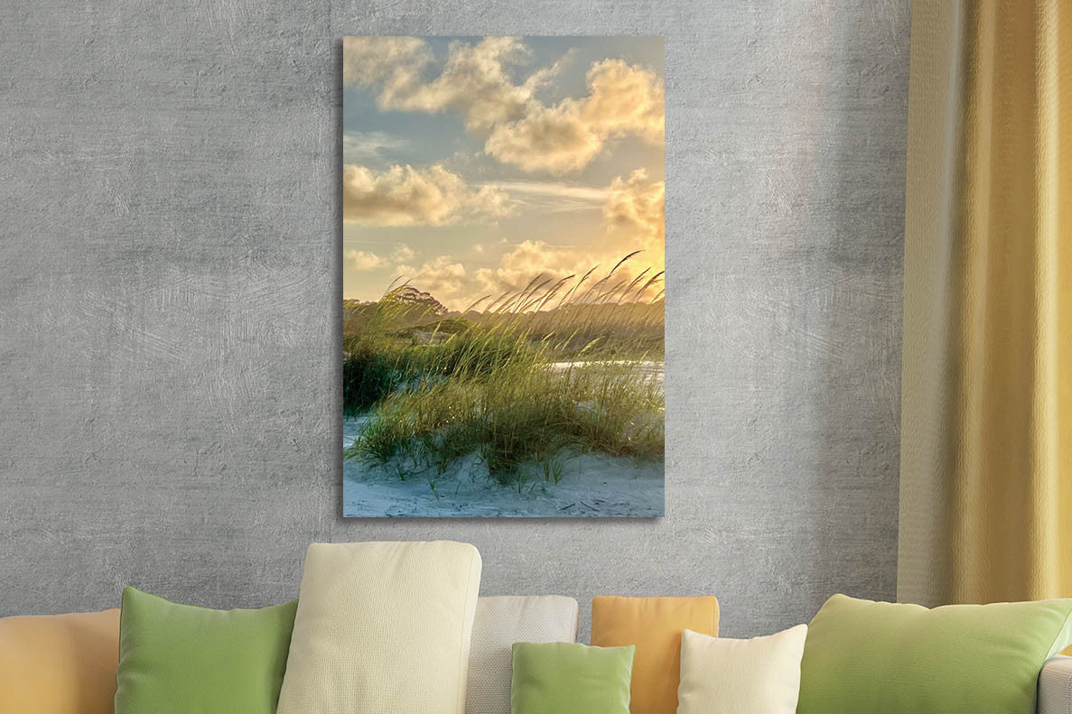 Glasbild «Strandhafer» 80 × 120 cm – Ansicht 2