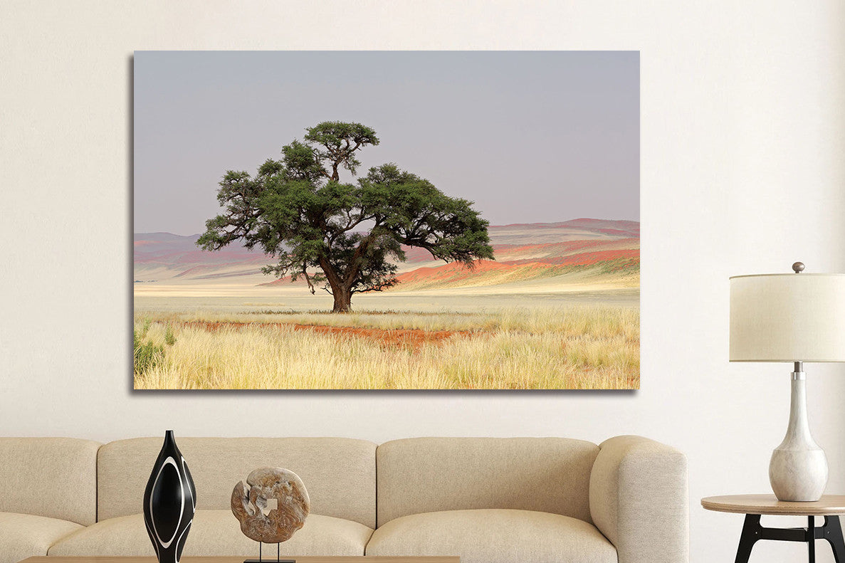 Glasbild «Einsamer Baum» 80 × 120 cm – Ansicht 2