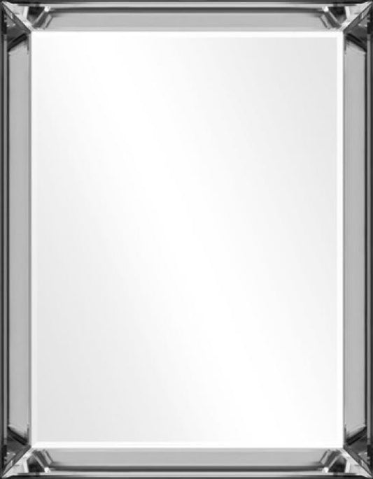 Spiegel met facet, 27x202cm incl. lijst. Spiegellijst zilver