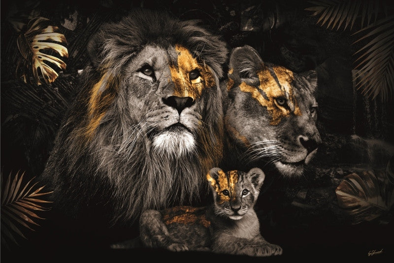 Glasbild «Löwenfamilie mit 1 Jungtier» 160 × 110 cm