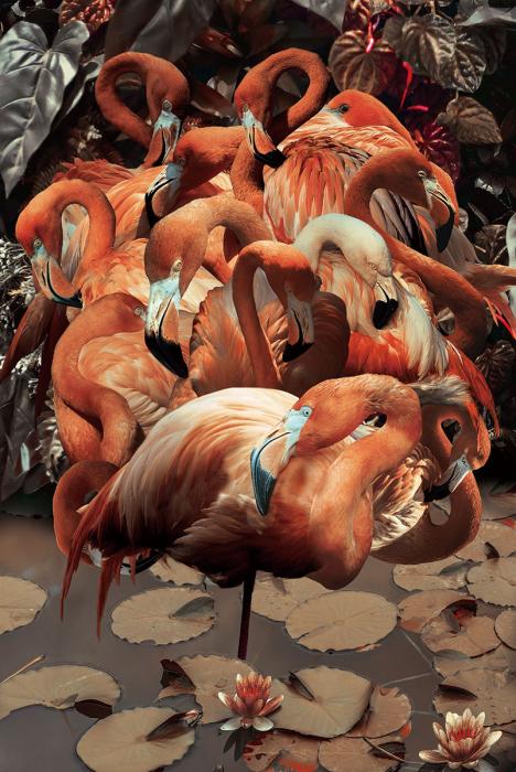 Glasbild «Flamingos» 120 × 80 cm (Art. GLAS080120-713)