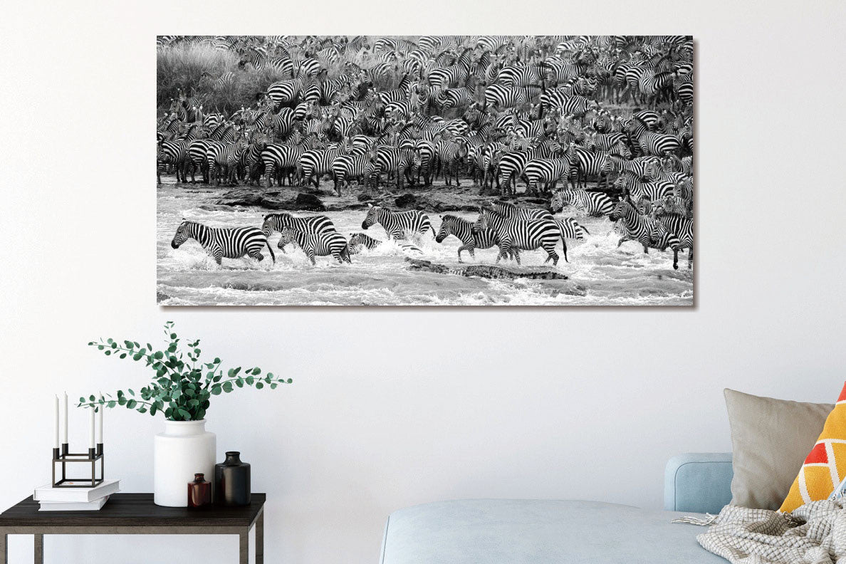 Glasbild 160x80cm Zebras im Wasser