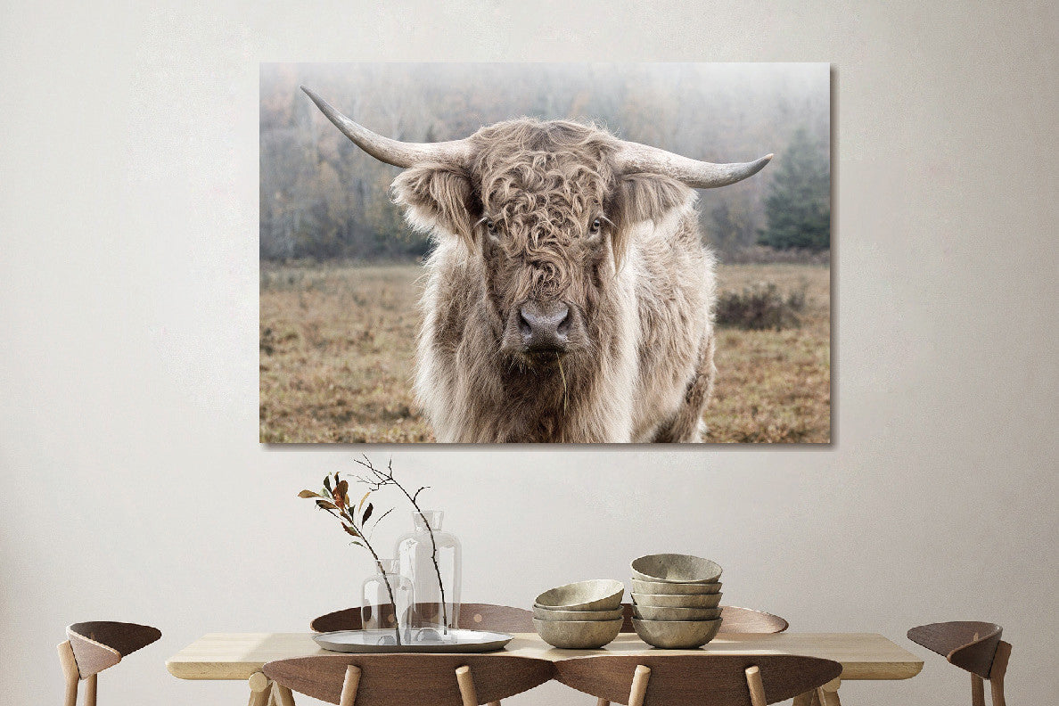 Glasbild 120x80cm Highlander in der Natur