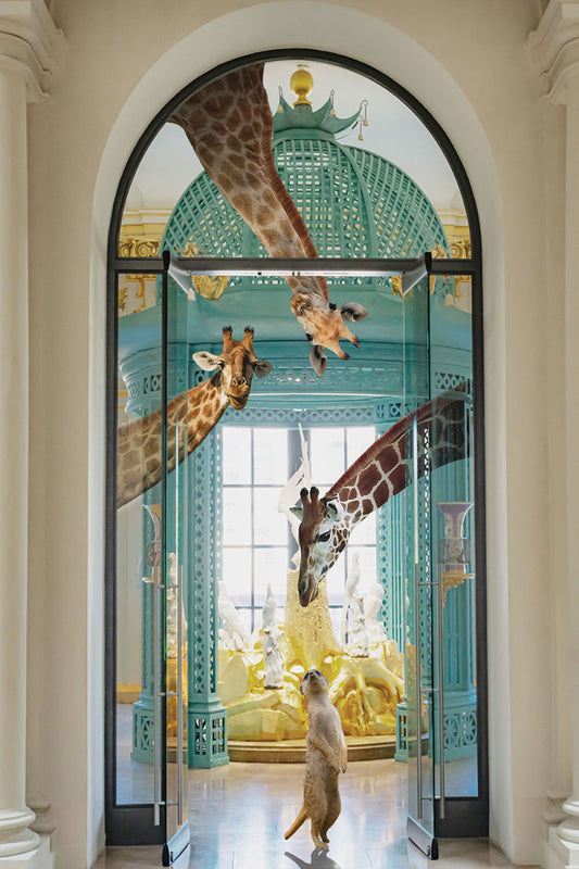 Glasschilderij 80x120cm Giraffen en stokstaartje