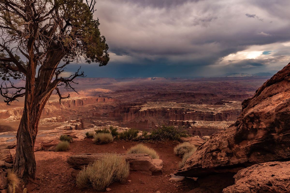 Glasschilderij met 3D reliÃ«f 120x80cm Canyon