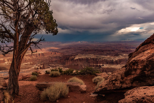 Glasschilderij met 3D reliÃ«f 120x80cm Canyon
