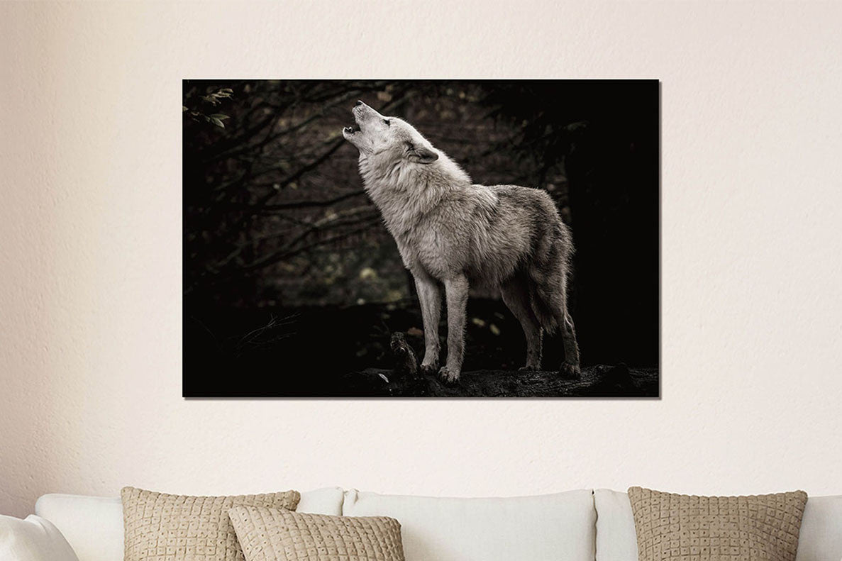 Glasbild 120x80cm Wolf