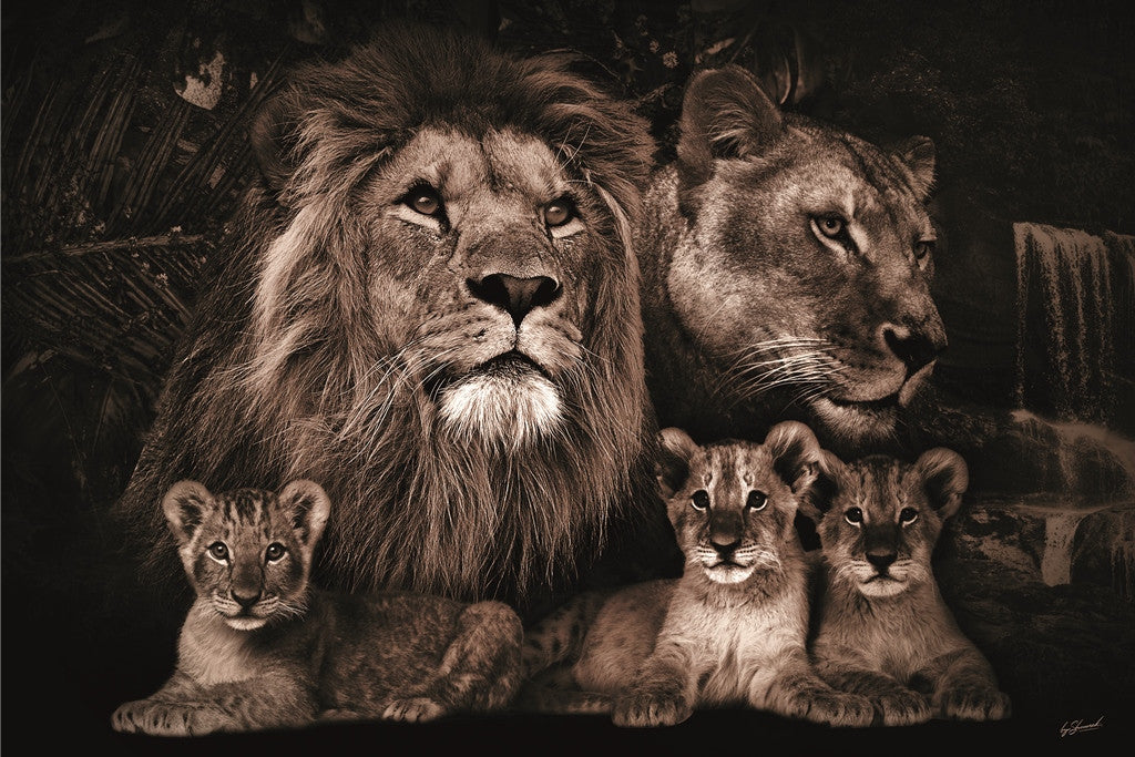Glasbild «Löwenfamilie mit drei Löwenbabys» 120 × 80 cm (Art. GLAS080120BS-624)