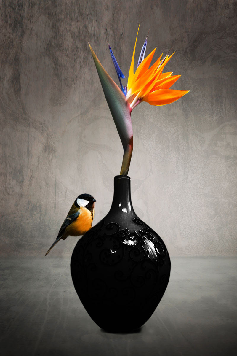 Glasbild «Vogel» 80 × 120 cm