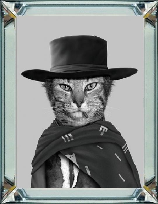 Spiegellijst met prent 60x80cm