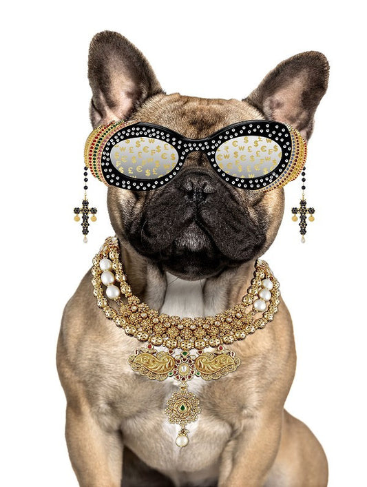 Glasschilderij met goudfolie 60x80cm Buldog met bril