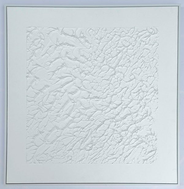 3D wanddecoratie 83x83cm Olieverf met lijst
