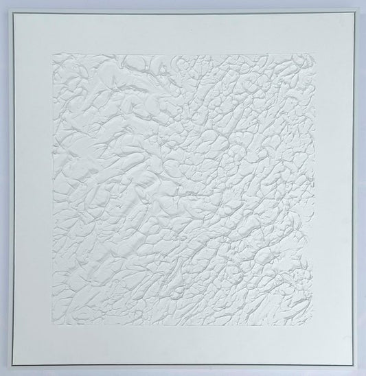3D wanddecoratie 83x83cm Olieverf met lijst